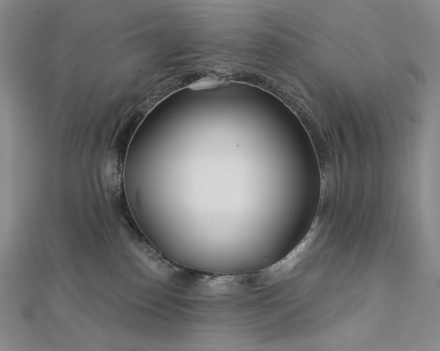 X0000113000186200908271355