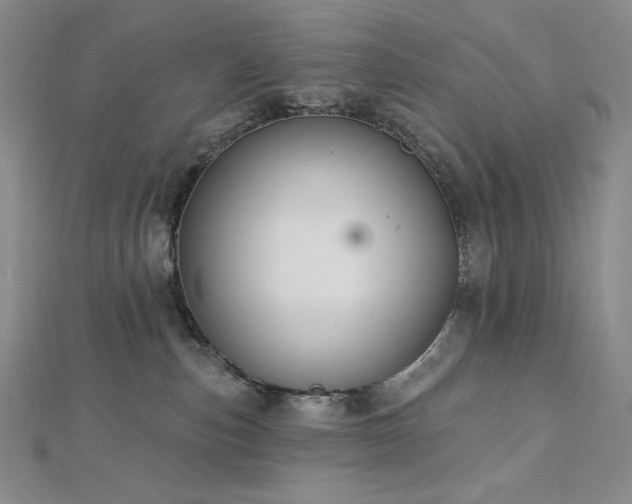 X0000113000187200908271355