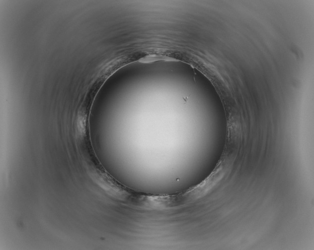 X0000113000188200908271355