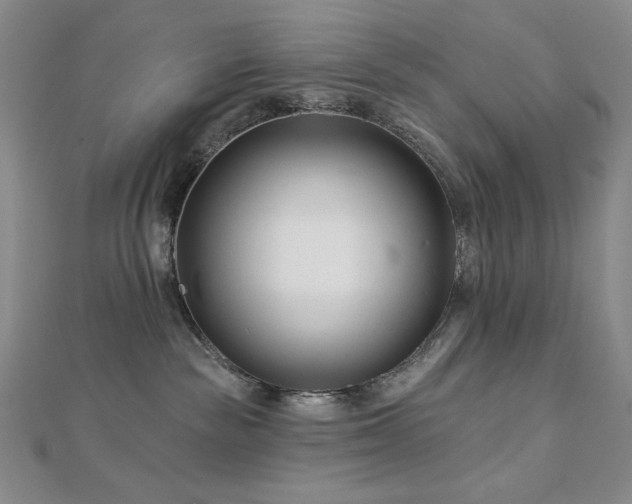 X0000113000189200908271355
