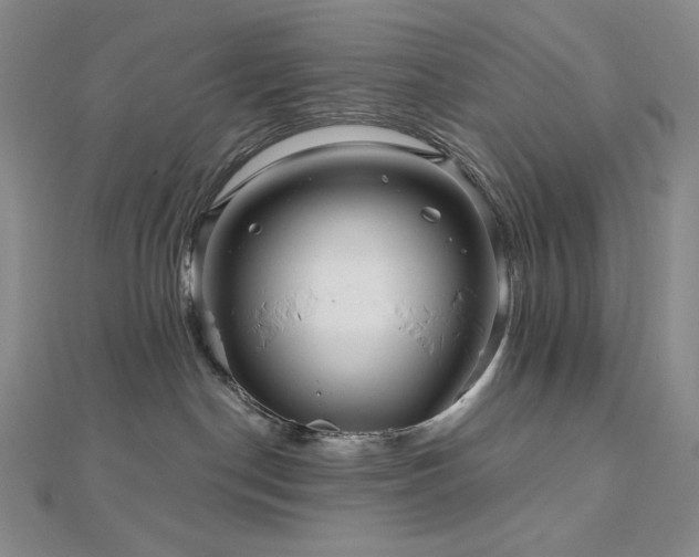 X0000113000190200908271355