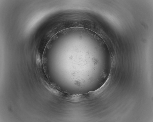 X0000113000191200908271355