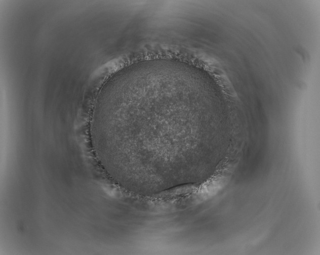 X0000113000192200908271355
