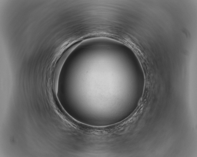 X0000113000193200908271354