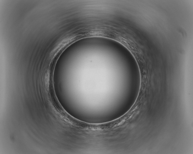 X0000113000194200908271354