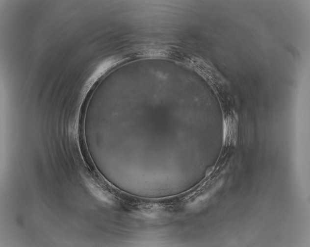 X0000113000195200908271354
