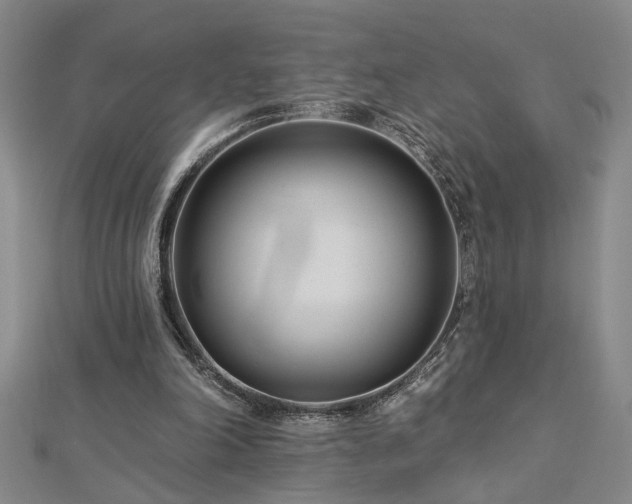 X0000113000198200908271354