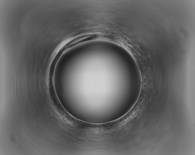 X0000113000200200908271354