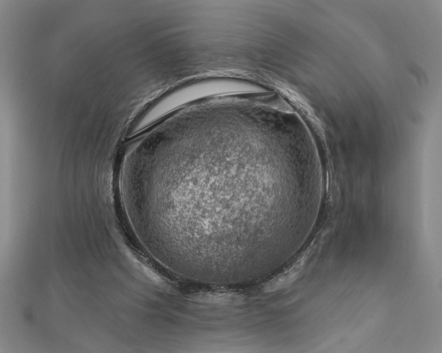 X0000113000201200908271354