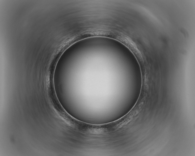 X0000113000202200908271354