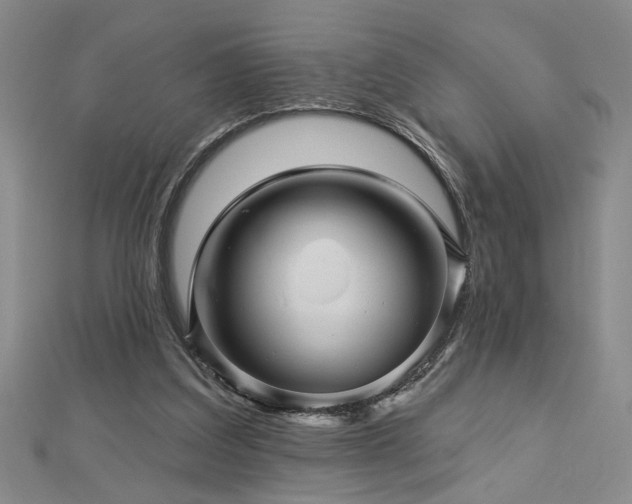 X0000113000203200908271354