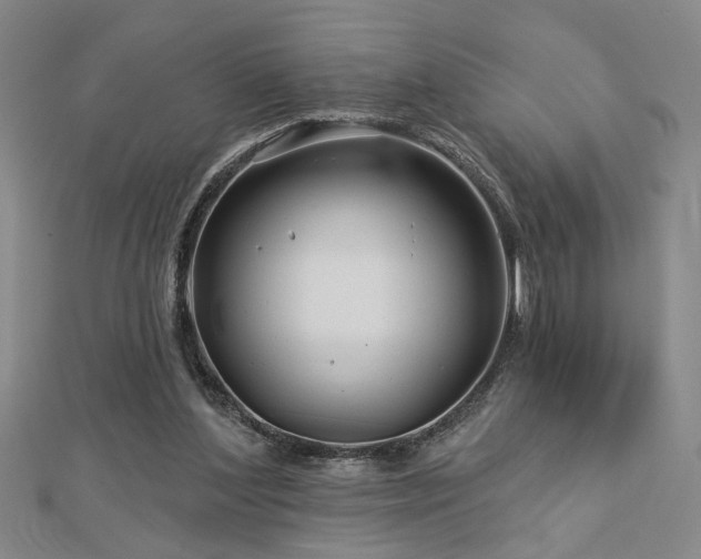 X0000113000204200908271354
