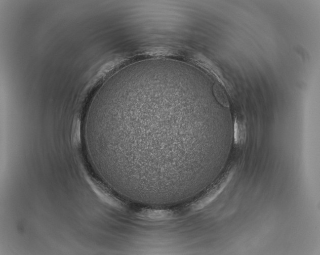 X0000113000205200908271354