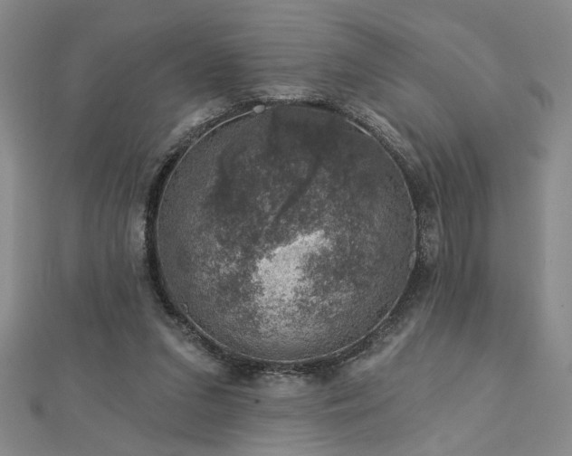 X0000113000207200908271354
