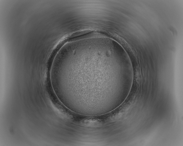 X0000113000208200908271354