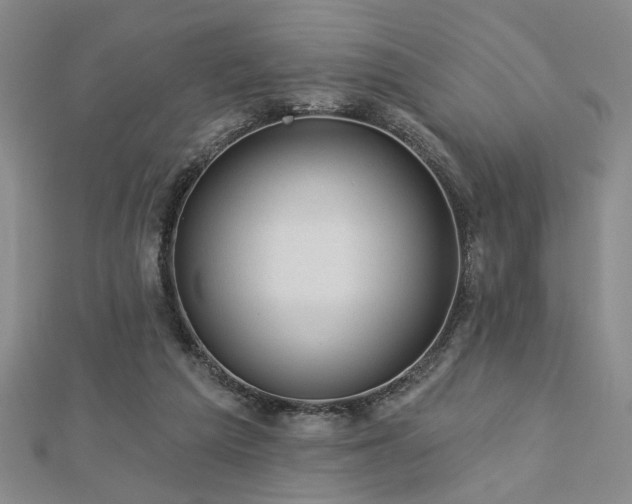 X0000113000209200908271354