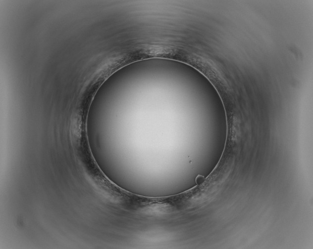 X0000113000210200908271354