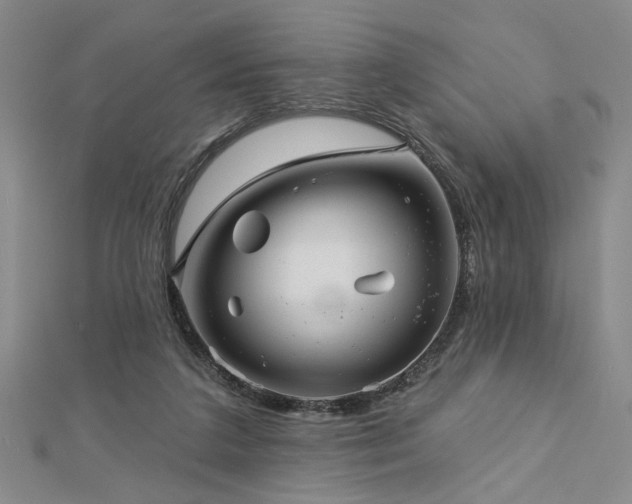 X0000113000211200908271354