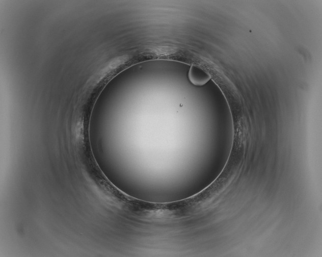 X0000113000212200908271354