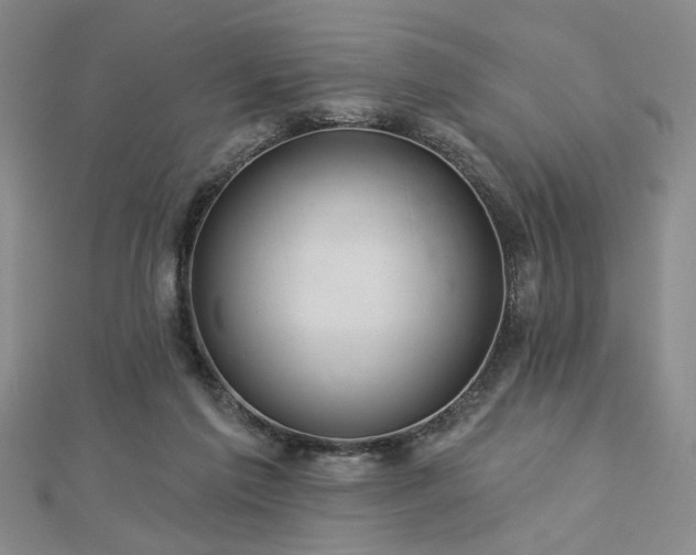 X0000113000213200908271354