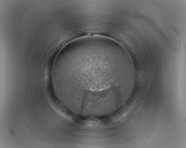 X0000113000215200908271354