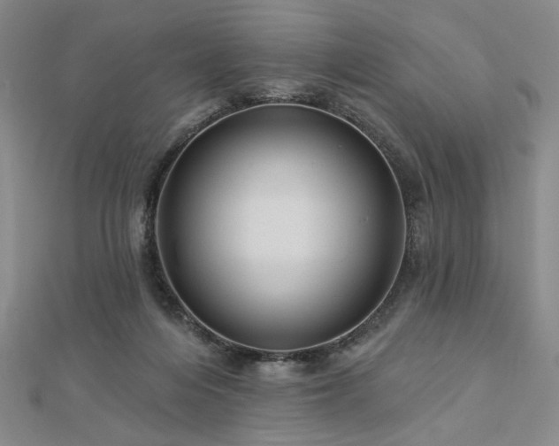 X0000113000216200908271354