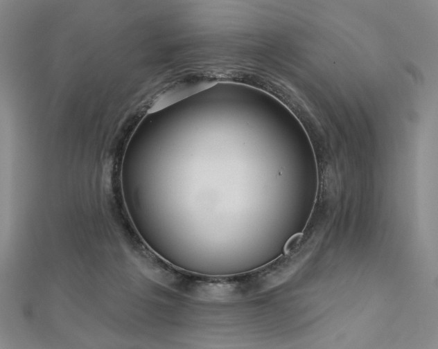 X0000113000217200908271354