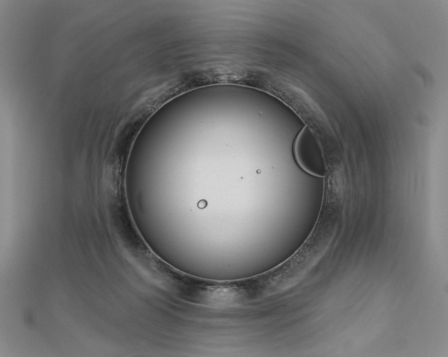X0000113000218200908271354