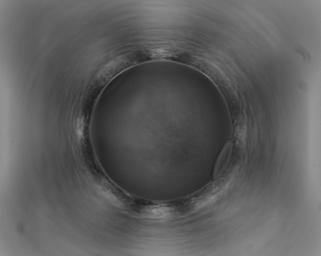 X0000113000219200908271354