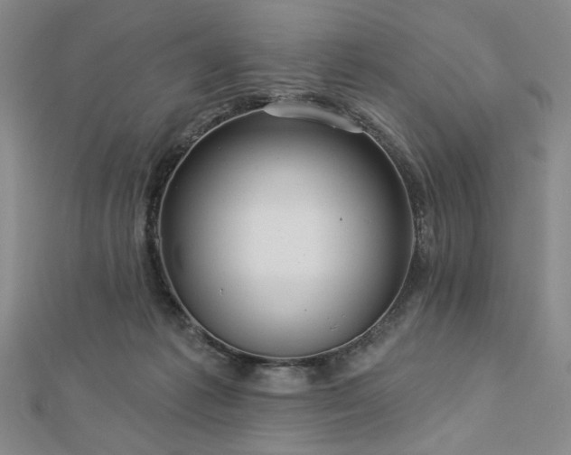 X0000113000221200908271354