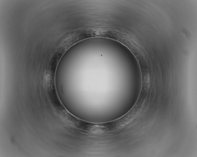 X0000113000222200908271354