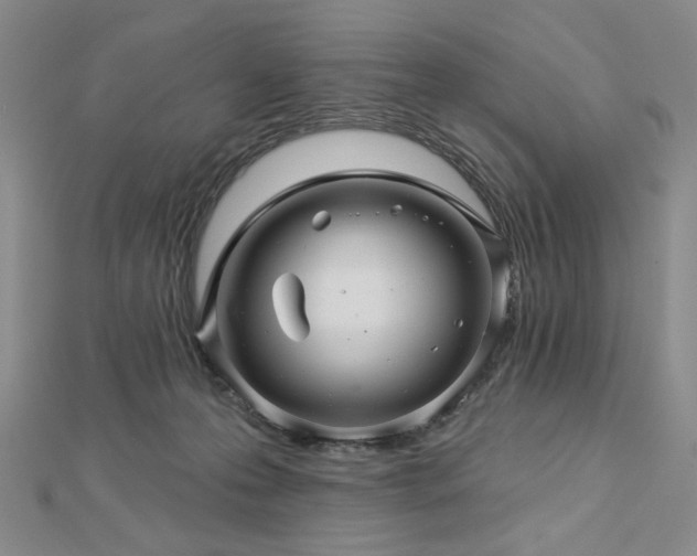 X0000113000223200908271354