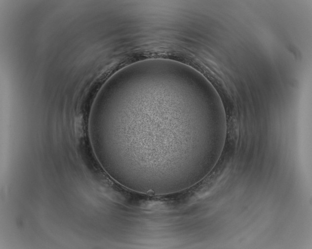 X0000113000224200908271354