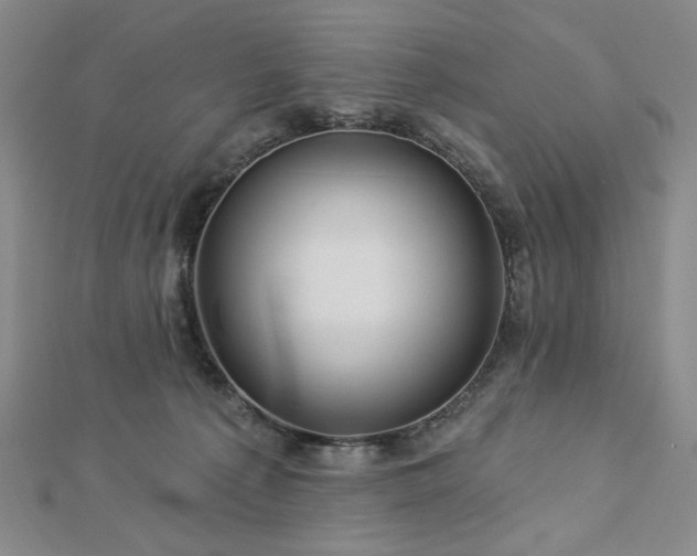 X0000113000225200908271354
