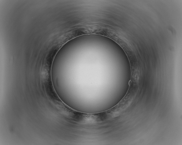 X0000113000226200908271354