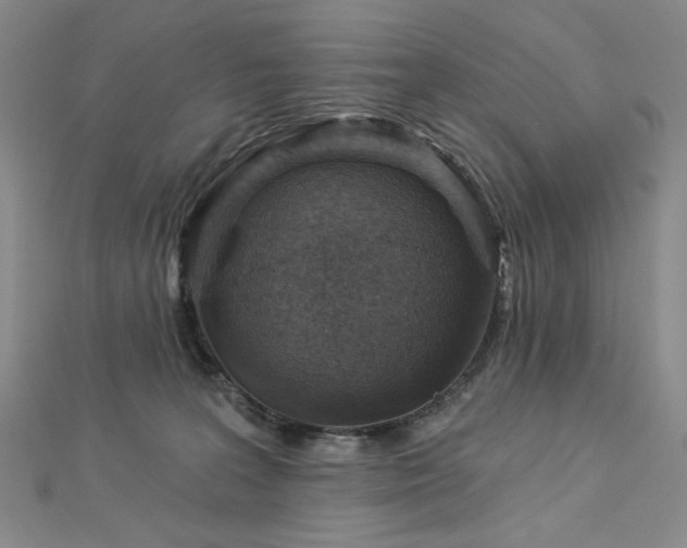 X0000113000227200908271354