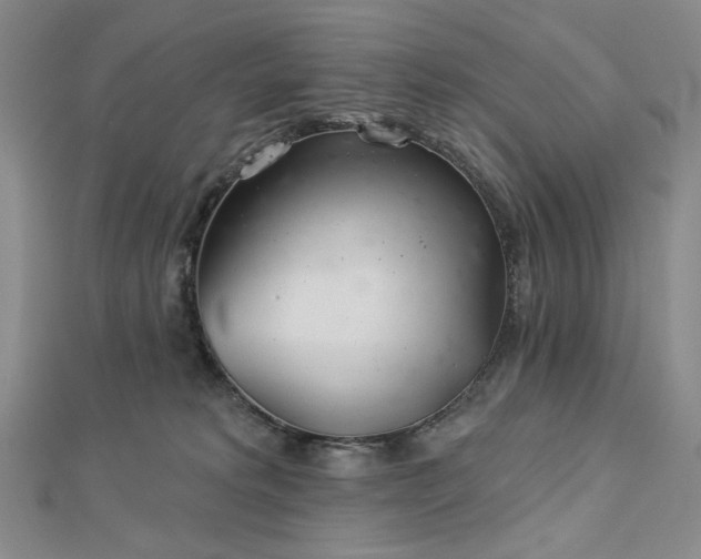 X0000113000229200908271354