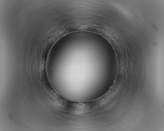 X0000113000230200908271354