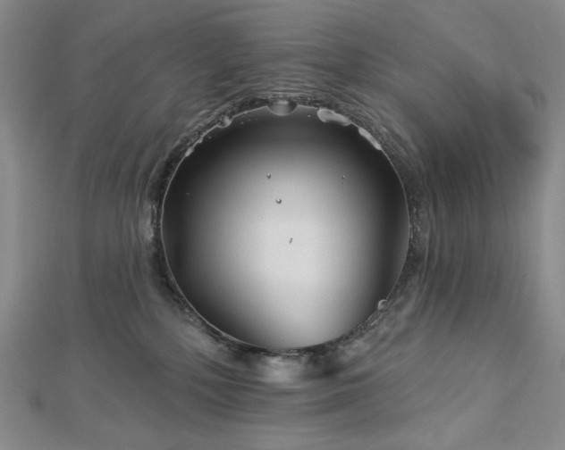 X0000113000232200908271354