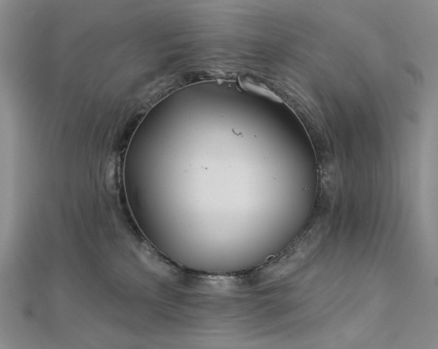 X0000113000233200908271354
