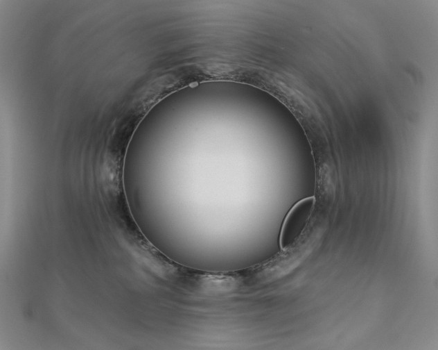 X0000113000234200908271354