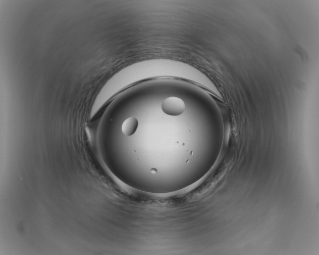X0000113000235200908271354