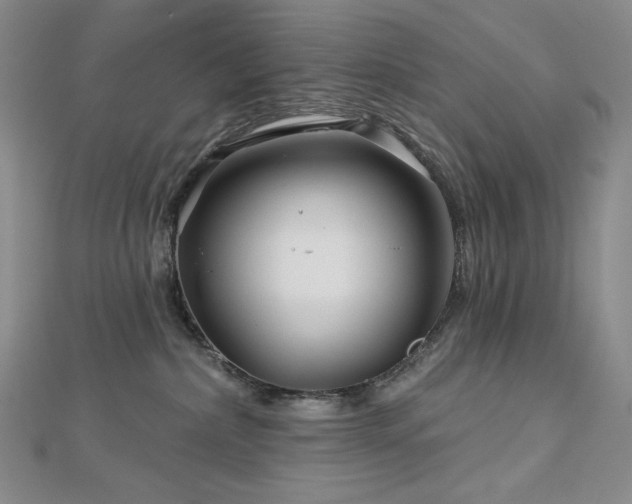 X0000113000236200908271354