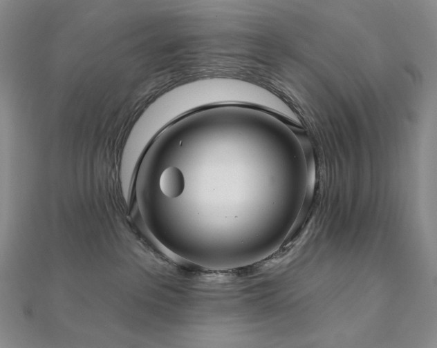 X0000113000237200908271354