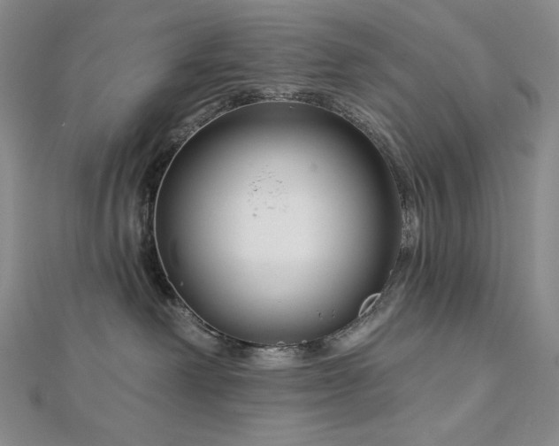 X0000113000238200908271354