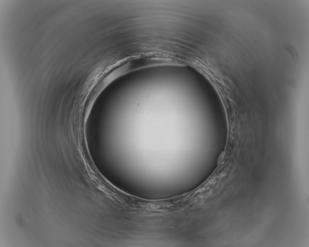 X0000113000241200908271353