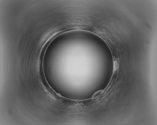 X0000113000243200908271353