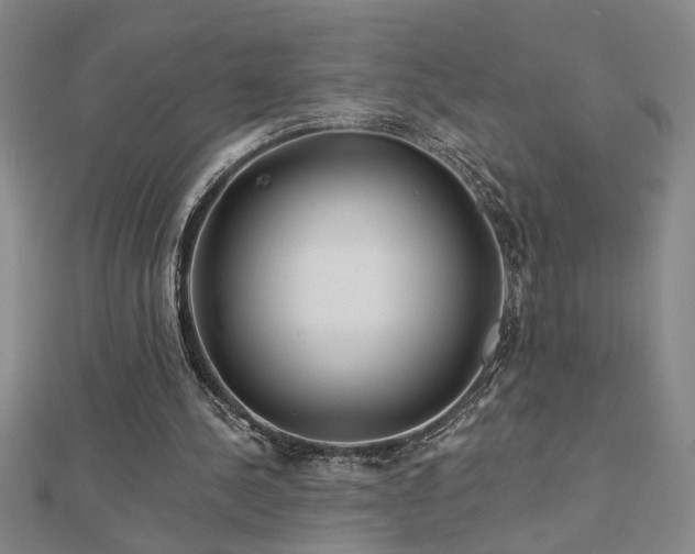 X0000113000244200908271353