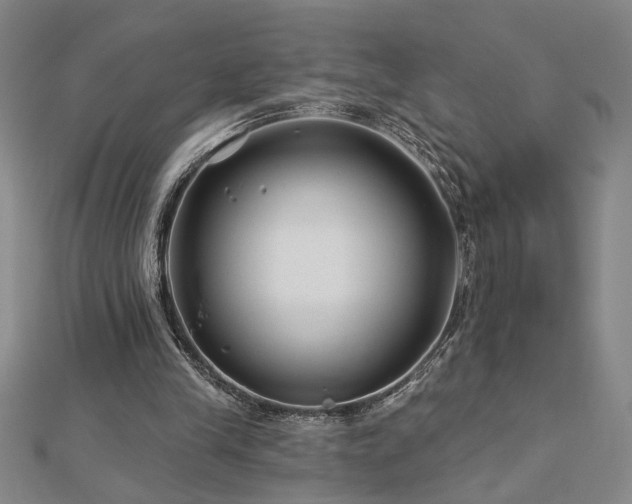 X0000113000245200908271353