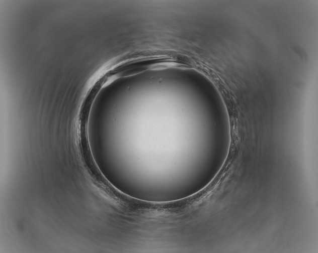 X0000113000246200908271353
